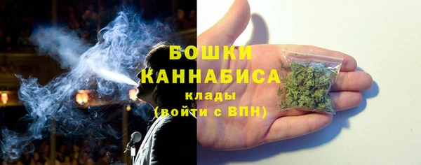сатива Абаза