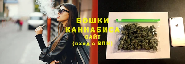молекула духа Няндома