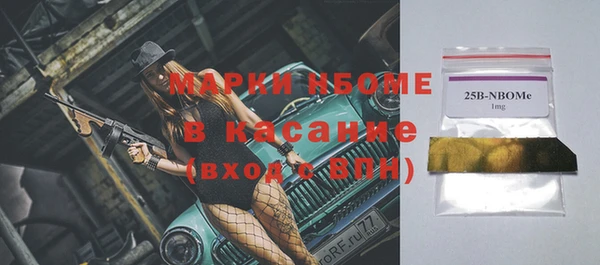 молекула духа Няндома