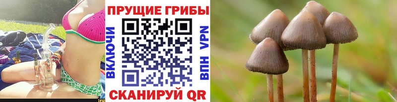 Галлюциногенные грибы прущие грибы  Урус-Мартан 